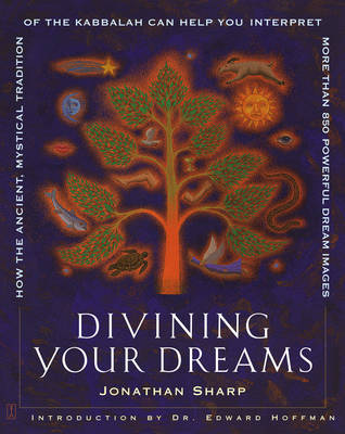 Book cover for Divining Your Dreams