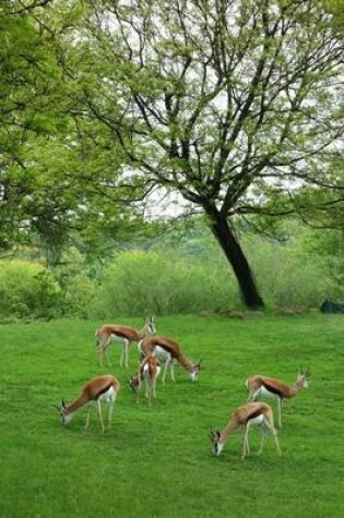 Cover of Grazing Antelope Wildlife Journal