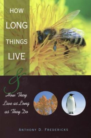 Cover of How Long Things Live