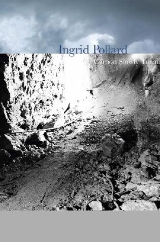 Cover of Ingrid Pollard