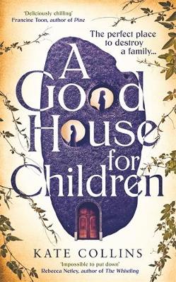 Book cover for A Good House for Children