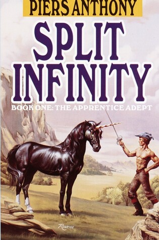 Cover of Split Infinity