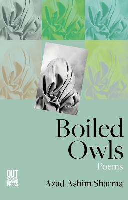 Book cover for Boiled Owls