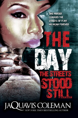 Cover of The Day The Streets Stood Still