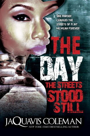 Book cover for The Day the Streets Stood Still