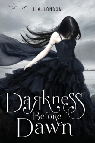 Cover of Darkness Before Dawn