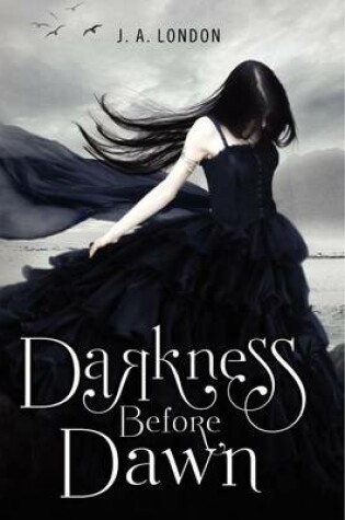 Cover of Darkness Before Dawn