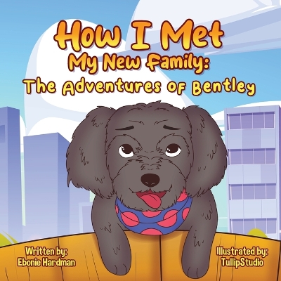 Cover of How I Met My New Family