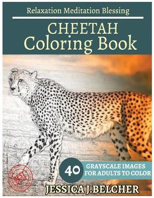 Book cover for Cheetah Coloring Book for Adults Relaxation Meditation Blessing