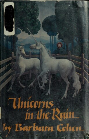 Book cover for Unicorns in the Rain