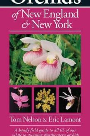 Cover of Orchids of New England & New York