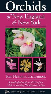Book cover for Orchids of New England & New York