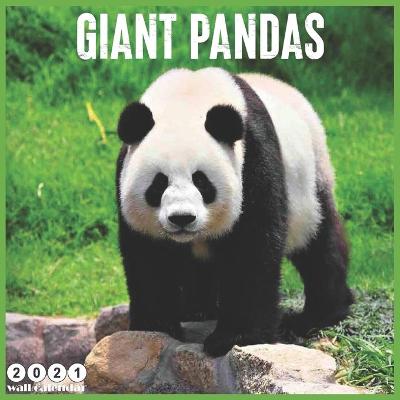 Book cover for Giant Pandas 2021 Calendar