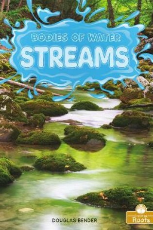 Cover of Streams