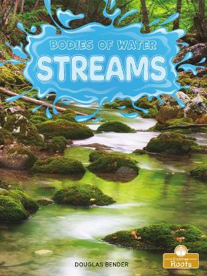 Book cover for Streams