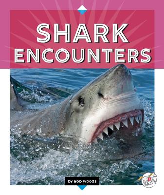Book cover for Shark Encounters