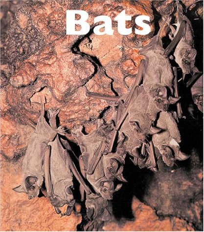 Book cover for Bats