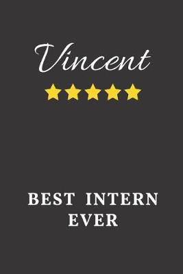 Book cover for Vincent Best Intern Ever