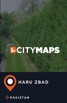 Book cover for City Maps Haru Zbad Pakistan