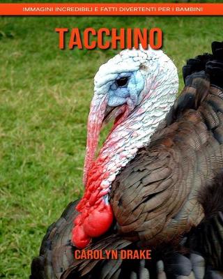 Book cover for Tacchino