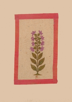 Cover of Carnet Lign� Fleur 2, Miniature Indienne 18e Si�cle