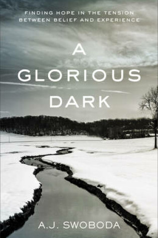 Cover of A Glorious Dark