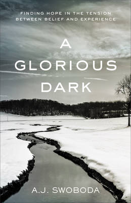 Book cover for A Glorious Dark