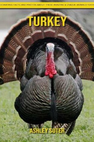 Cover of Turkey