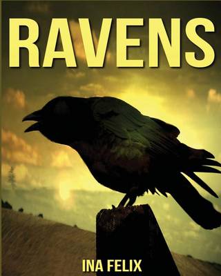 Book cover for Ravens