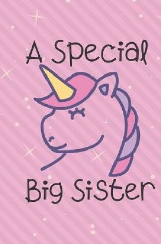 Cover of A Special Big Sister