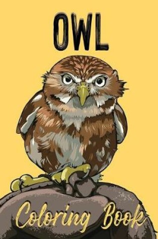 Cover of Owl Coloring Book