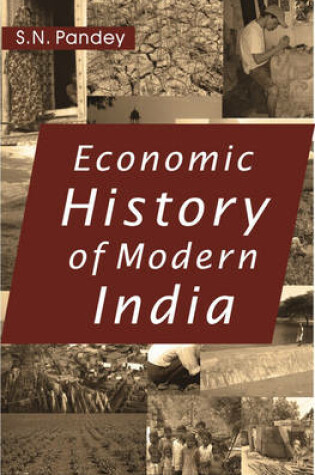 Cover of Economic History of Modern India