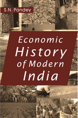 Book cover for Economic History of Modern India