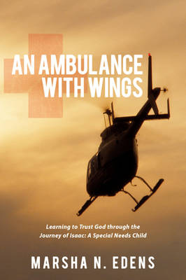 Cover of An Ambulance With Wings