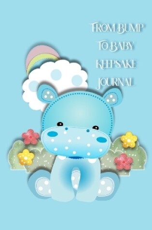 Cover of Boy Book From Bump to Baby