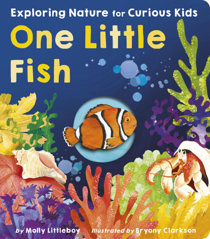 Cover of One Little Fish