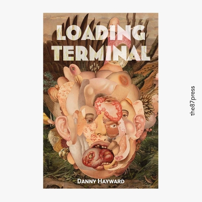 Book cover for Loading Terminal