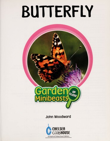 Book cover for Butterfly