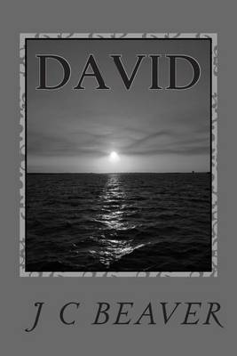 Book cover for David