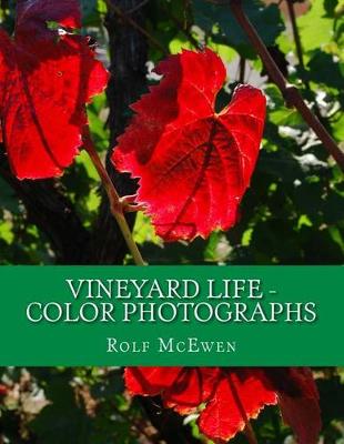 Book cover for Vineyard Life - Color Photographs
