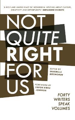 Book cover for Not Quite Right For Us