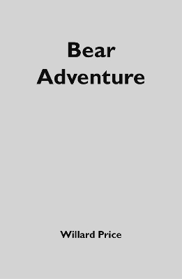Book cover for Bear Adventure