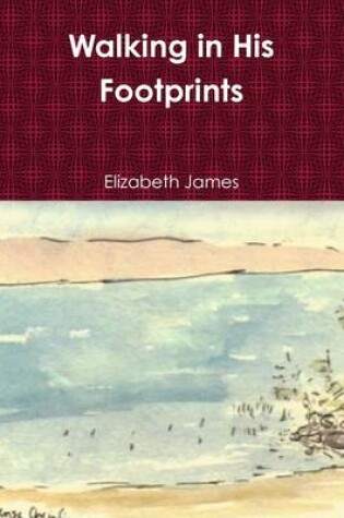 Cover of Walking in His Footprints