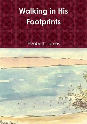 Book cover for Walking in His Footprints