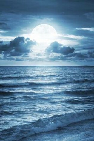 Cover of A Blue Moon Shining Down on the Ocean