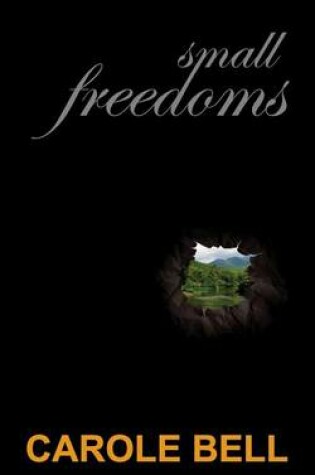 Cover of Small Freedoms