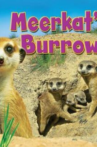 Cover of Meerkat's Burrow