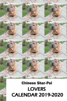 Book cover for Chinese Shar-Pei Lovers Calendar 2019-2020