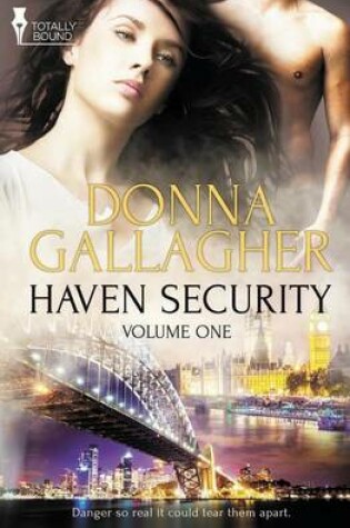 Cover of Haven Security