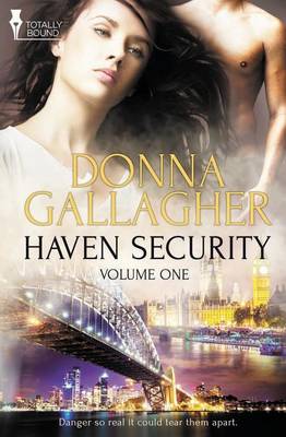 Book cover for Haven Security